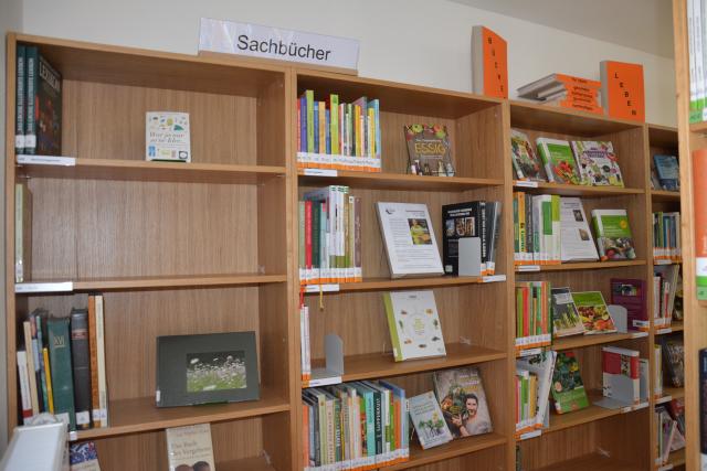 Sachbuchbereich1
