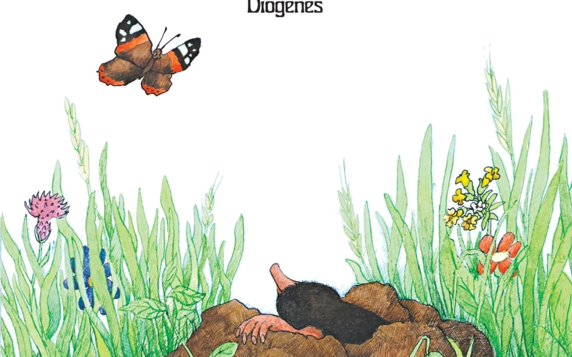 Buch Maulwurf Grabowski